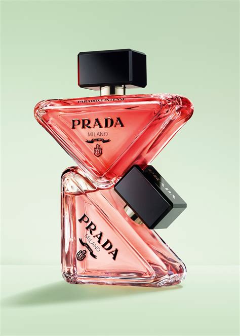 prada paradoxe beschreibung|prada paradoxe echo.